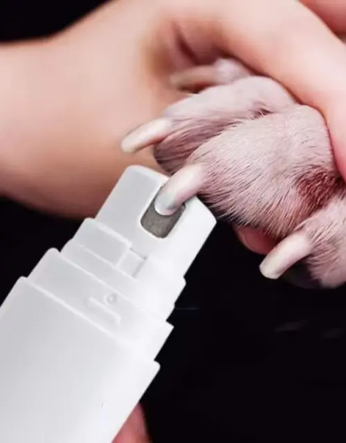 New Electric Dog Nail Clippers Pet Claw Cutting Machine Grinder Tools Cat Paw Nail Beauty Trimmer Cleaning Supplies