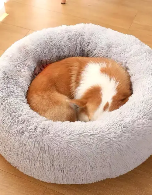 Round Plush Dog Bed Kennel Cat Cushion Washable Soft Small Medium Big Pet Cat Dog Bed Puppy Sofa Winter Warm Mat Pet Accessories
