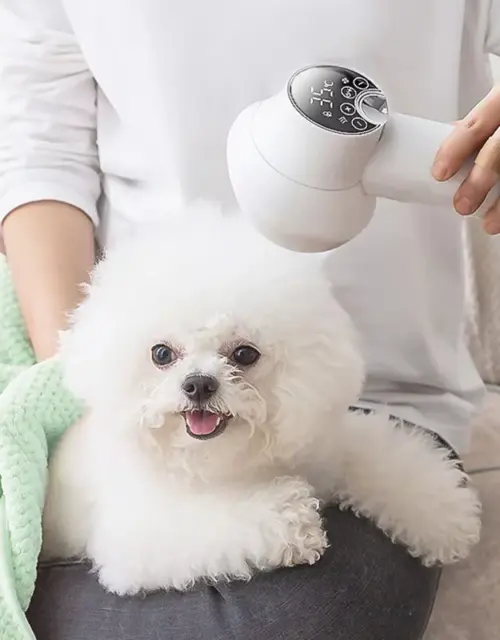 Smart Dog Hair Dryer 2 in 1 Pet Cat Hair Blowing Combing Negative Oxygen Ion Low Noise LED Touch Control Temperature Display