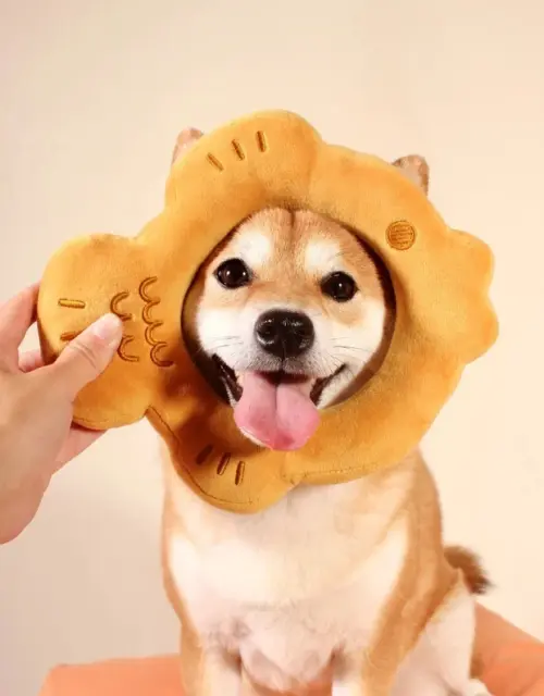 Taiyaki Squeaky Boop Ring Dog Toy Pet Toy Fish Shaped Dessert Snack Food Plushie